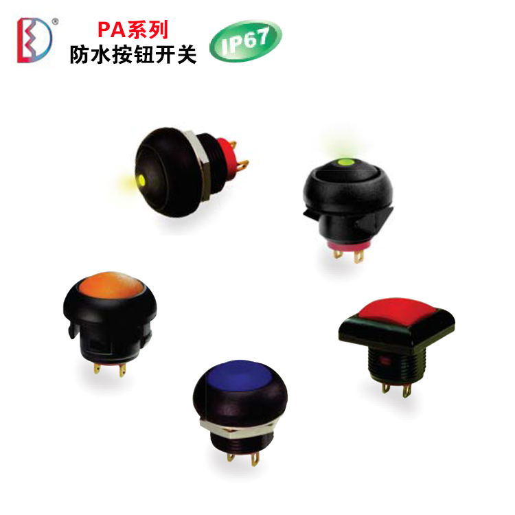 PA series waterproof button switch