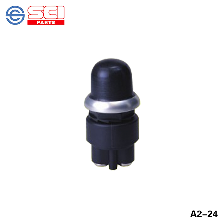 SCI Auto Switch A2-24 ​​​